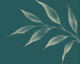 samkara footer botanical